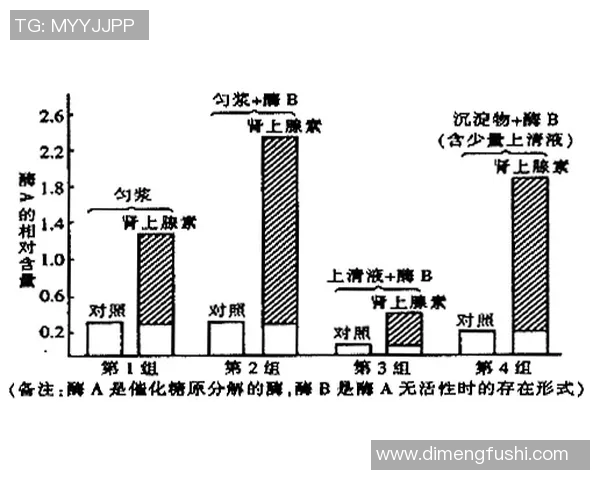 水中运动对人体健康的益处与科学原理探索 水中运动对人体健康的益处与科学原理探索