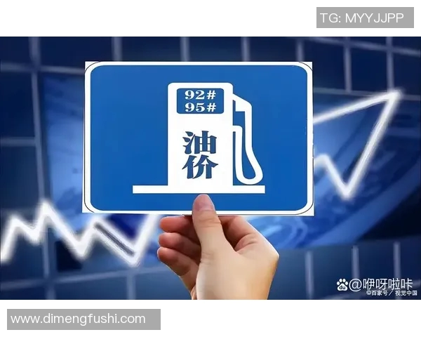 南京极限运动队的防反策略解析与热点趋势探讨 南京极限运动队的防反策略解析与热点趋势探讨