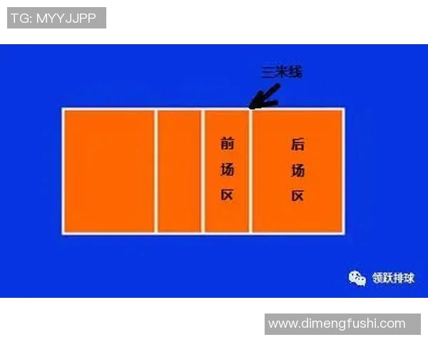 杭州排球队进攻策略全解析揭秘排球深度与战术运用 杭州排球队进攻策略全解析揭秘排球深度与战术运用