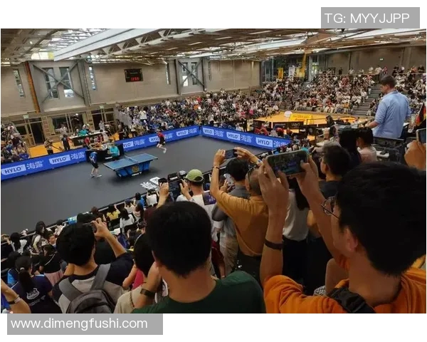 杭州羽毛球队配合变革引发热议助力竞技水平提升与团队协作发展 杭州羽毛球队配合变革引发热议助力竞技水平提升与团队协作发展