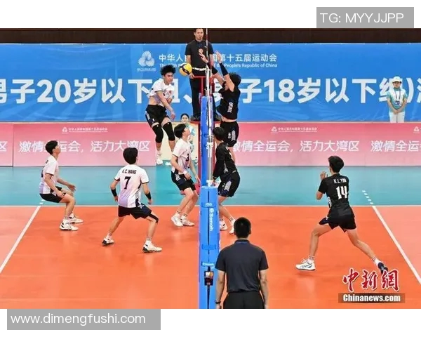 杭州排球队灵活性创新高引发全国关注排球竞技新风潮