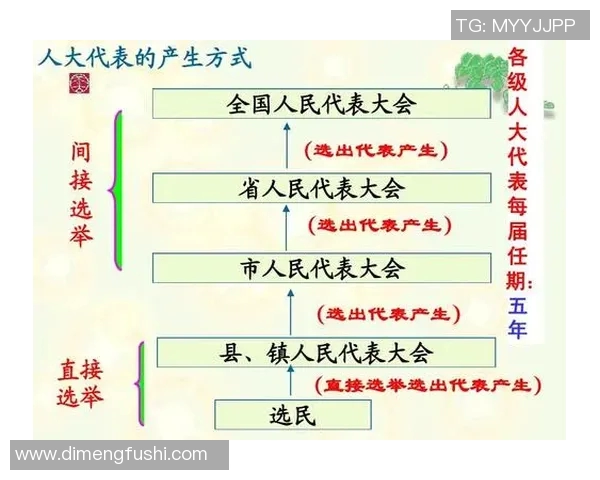 选举制度改革与民主发展路径探讨：从选民参与到选举透明度提升